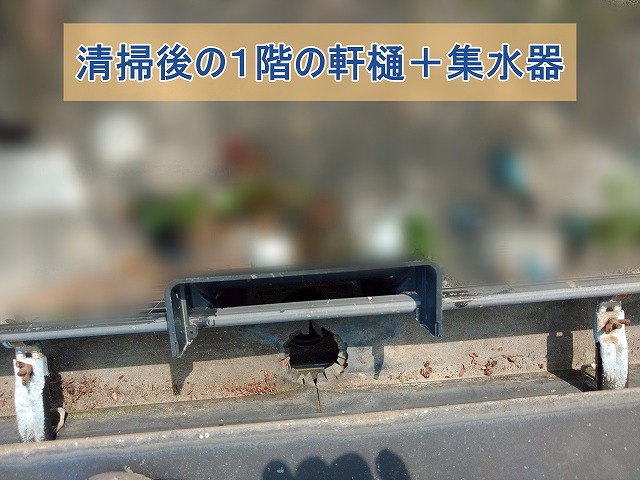 清掃後の一階の軒樋と集水器の様子